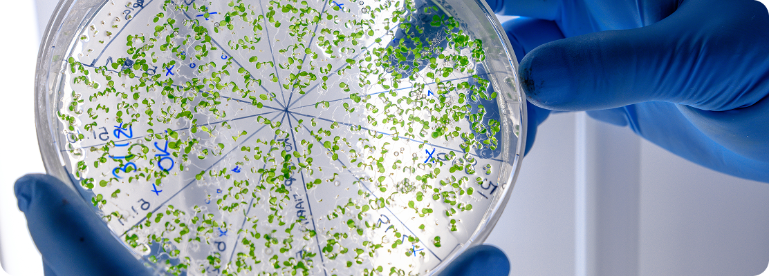 Heb je last van bacteriën?